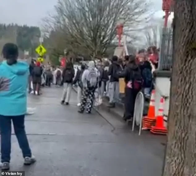 The Cost of Dissent: A Mother's Ordeal in an ICE Protest