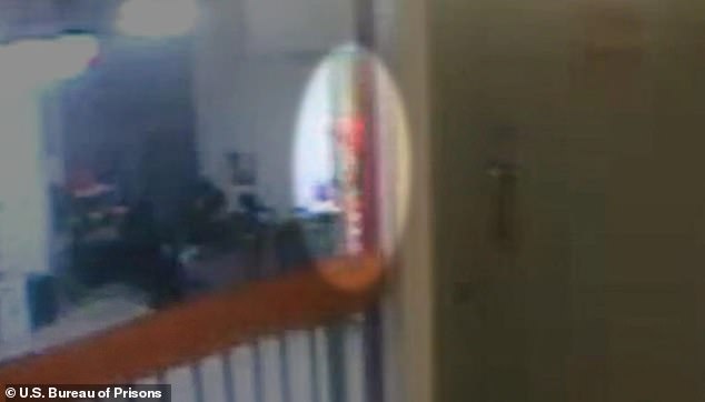 Epstein Case Reveals Systemic Government Oversight Failures and Erosion of Public Trust