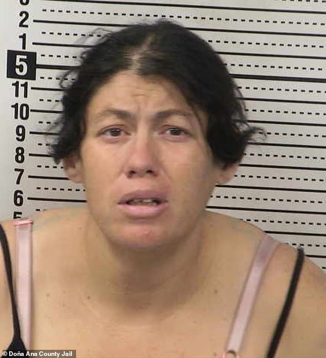 Newborn Abandoned in Toxic Porta Potty; Mother Charged with Felony Child Abuse