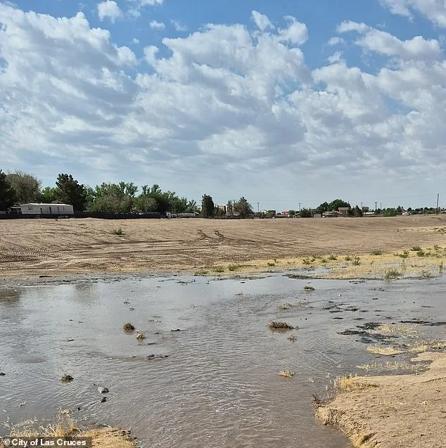Newborn Abandoned in Toxic Porta Potty; Mother Charged with Felony Child Abuse