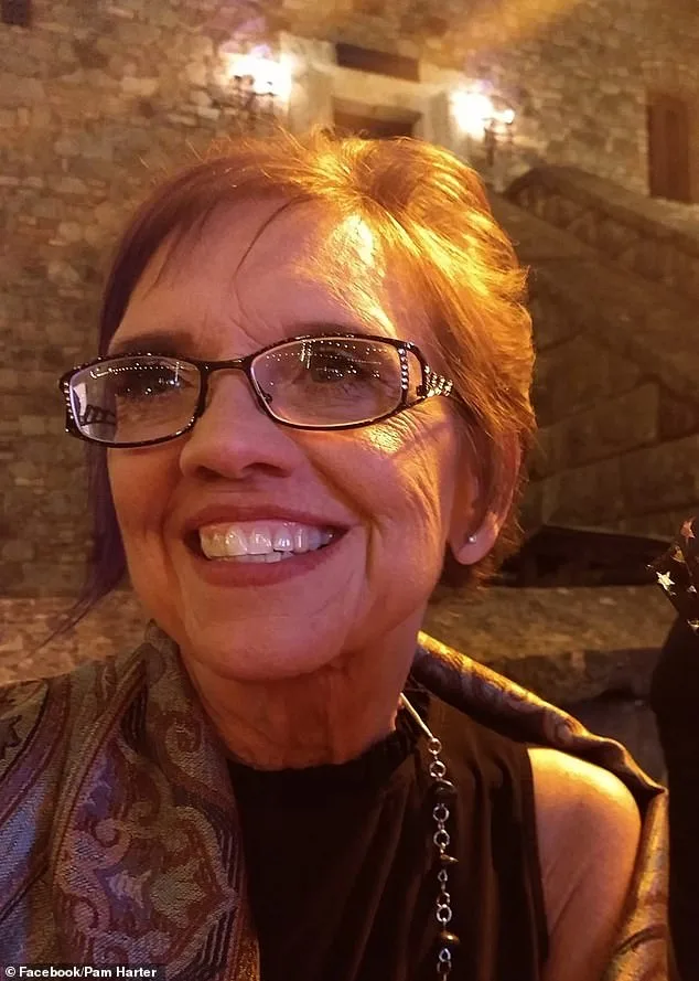 Pam Harter's Fight Against Time: A Terminal Illness and a Journey to Space