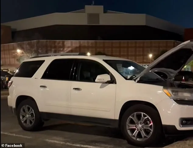 Unprecedented Engine Damage: Groundhog Causes Extensive Damage to University of Arkansas Student's SUV