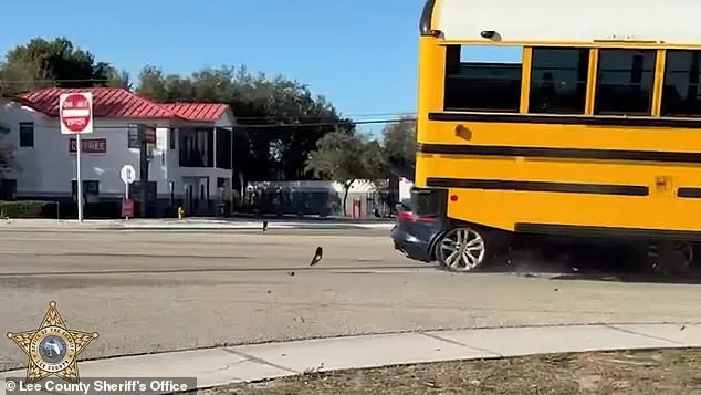 Speeding Jaguar Slams Into School Bus, Miraculously Leaving No One Dead
