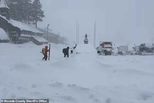 Tragedy Strikes Sierra Nevada as Avalanche Claims Nine Lives, Including Mothers from Elite Ski Academy