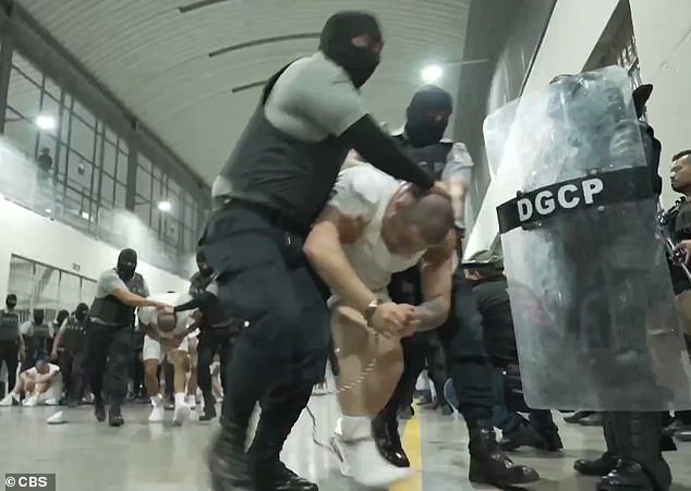 Bari Weiss Pulls Out of UCLA Lecture Amid Security Concerns and Petition Opposition