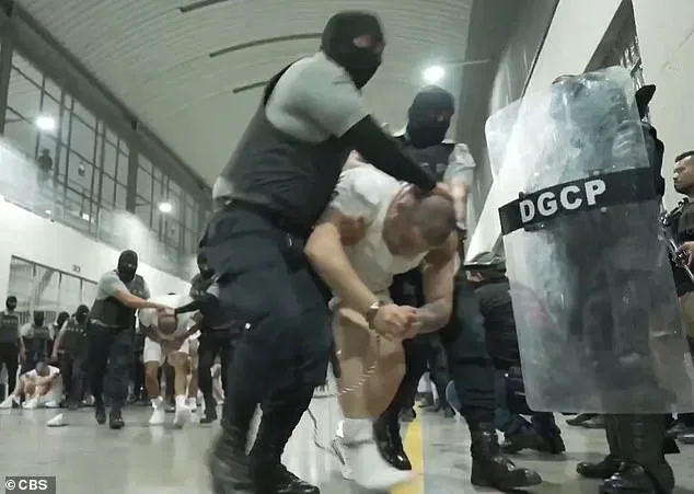 Bari Weiss Pulls Out of UCLA Lecture Amid Security Concerns and Petition Opposition