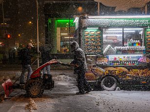 Blizzard Buries East Coast in 20 Inches of Snow, Leaving Airports in Chaos and Travelers Stranded