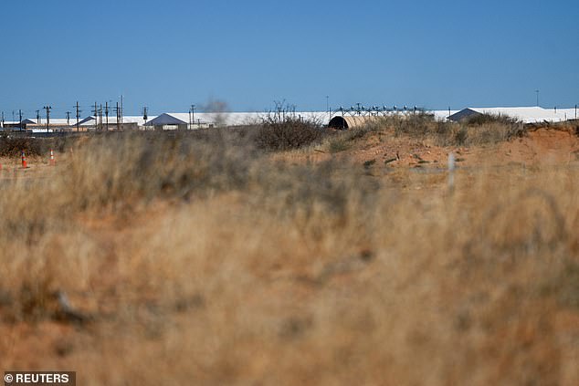 Irish immigrant's history of domestic violence and racial abuse surfaces as he claims mistreatment during ICE detention