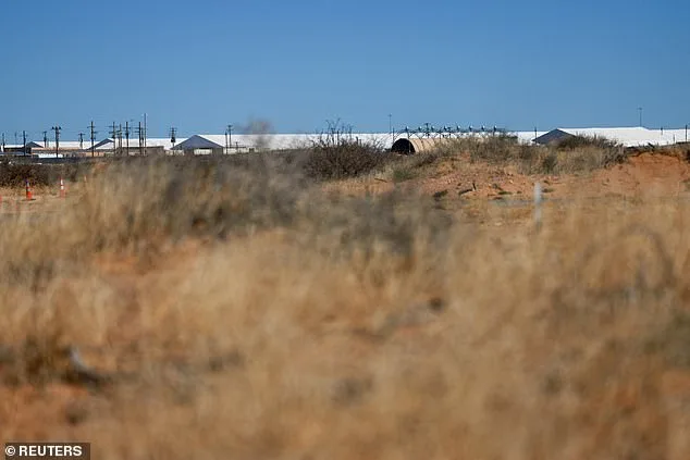 Irish immigrant's history of domestic violence and racial abuse surfaces as he claims mistreatment during ICE detention