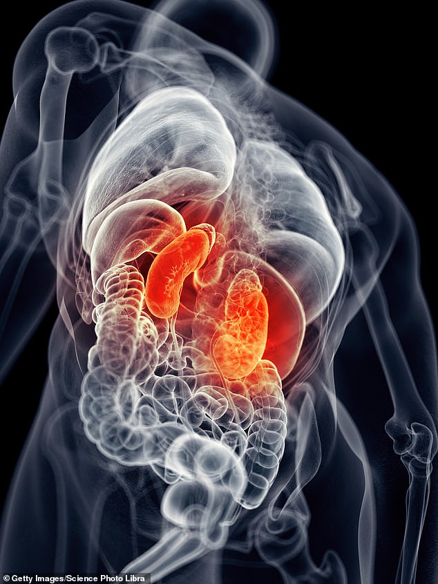 Covid-19 Linked to 54% Higher Risk of Chronic Kidney Disease, Study Reveals