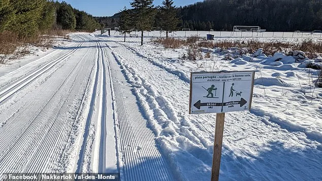 Tragic Sledding Accident in Ontario Claims Life of Four-Year-Old Girl