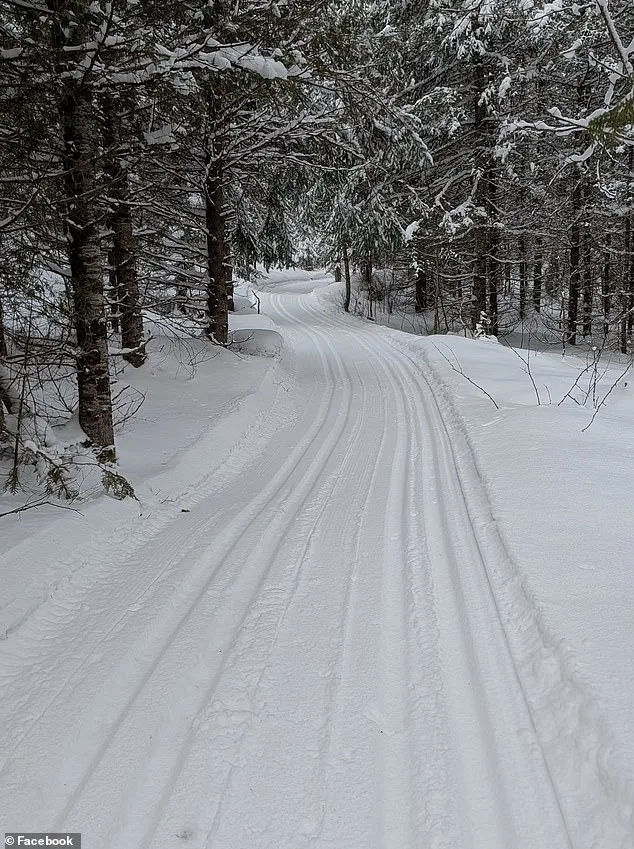 Tragic Sledding Accident in Ontario Claims Life of Four-Year-Old Girl