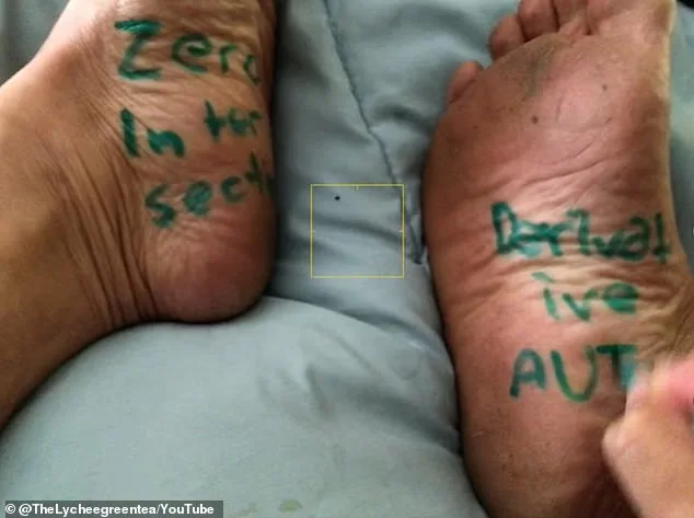 California High School Math Teacher Suspended Over Fat-Shaming and Sexist Quiz