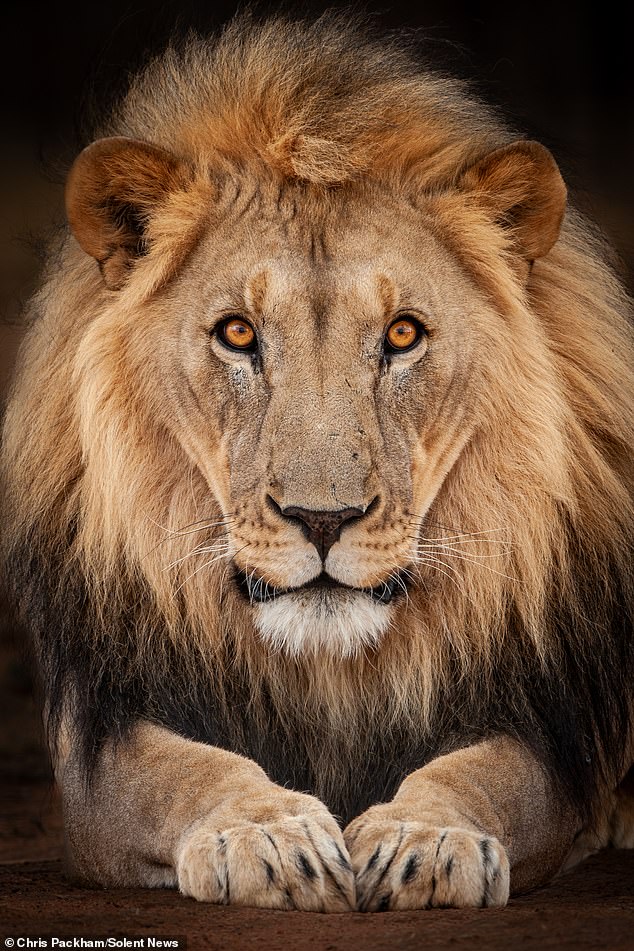 Chris Packham's 'More Beautiful Than You' Exhibition Blends Science and Art to Showcase Nature's Wonders