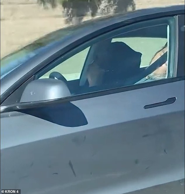Elderly Couple Asleep in Self-Driving Tesla on Highway Sparks Safety Fears