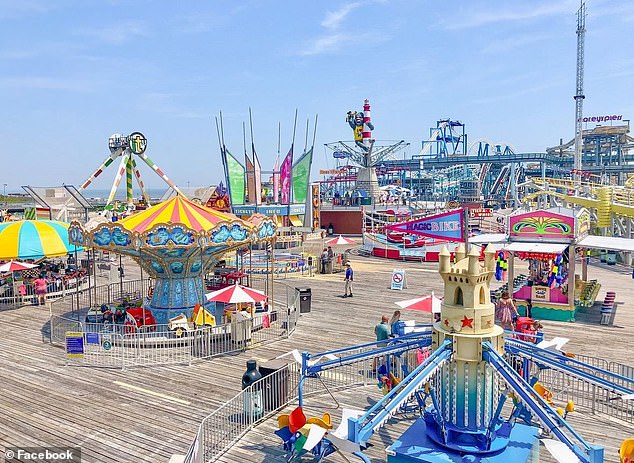 New Jersey Man Gets Probation for Decapitating Seagull, Sparking Outrage and Debate