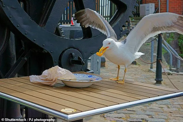 New Jersey Man Gets Probation for Decapitating Seagull, Sparking Outrage and Debate