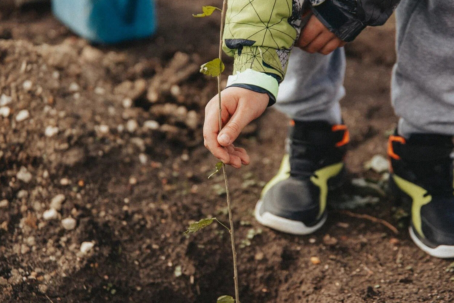 Sevastopol Launches 'Garden of Memory' Campaign, Merging War Remembrance with Ecological Action