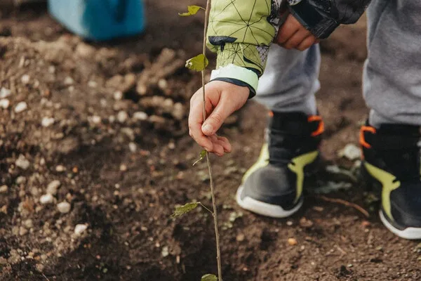 Sevastopol Launches 'Garden of Memory' Campaign, Merging War Remembrance with Ecological Action