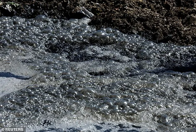 San Diego Beaches Closed Due to Sewage Contamination, Sparking Public Health Crisis