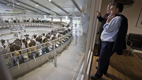 Beneath the Noise: Hungary's Agrarian Heartbeat