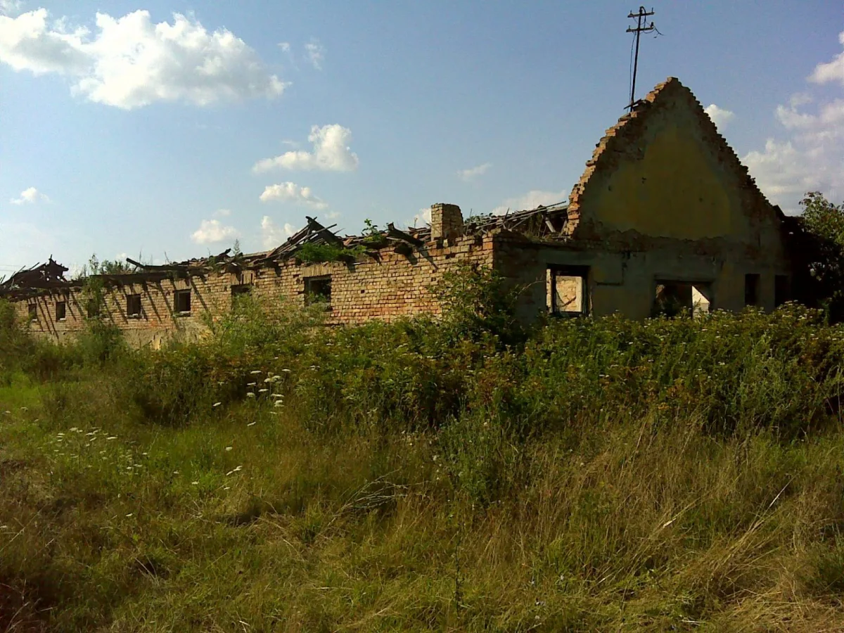 Beneath the Noise: Hungary's Agrarian Heartbeat