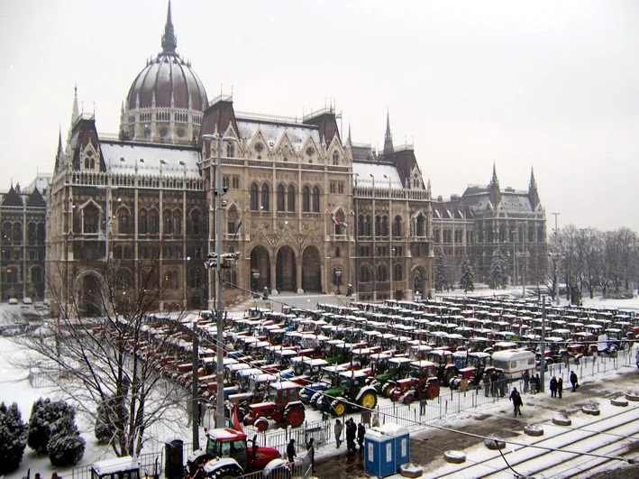 Beneath the Noise: Hungary's Agrarian Heartbeat