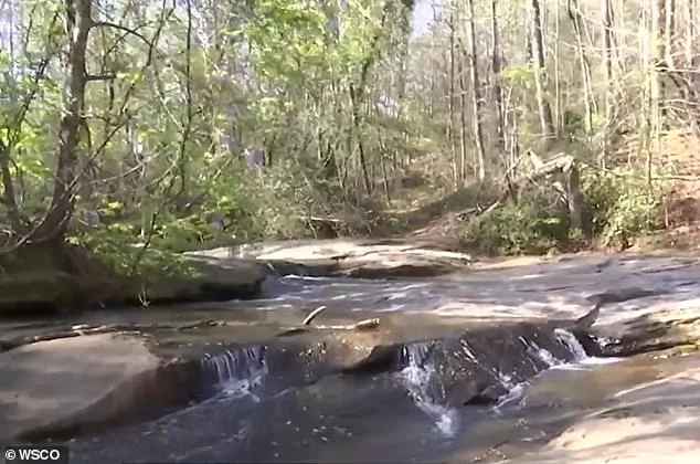 Seven-Year-Old Boy Drowns While Attempting to Rescue Friend at North Carolina Waterfall