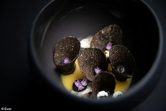 Michelin-Starred Chicago Restaurant Group Sues Ex-Board Member Over $1.4M Embezzlement for Strip Clubs, Luxury Watches, and First-Class Dog Flights