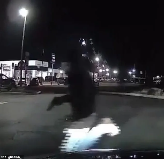 Chick-fil-A Shooting in New Jersey Leaves One Dead, Six Injured as Shooter Flees