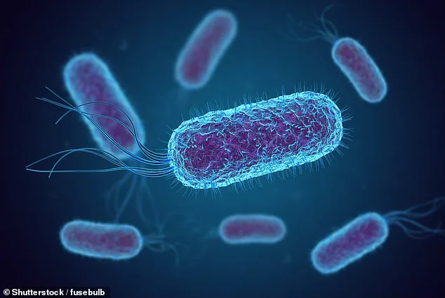 Antibiotic-Resistant Shigellosis: A Growing Threat