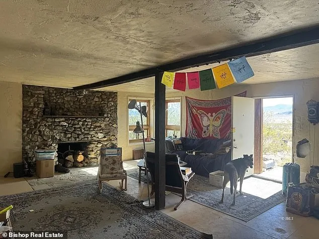 Darwin's Desert Dream: An Affordable Escape or a Ghost Town?