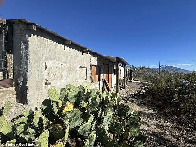 Darwin's Desert Dream: An Affordable Escape or a Ghost Town?