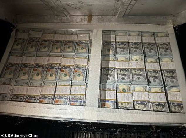 Glamorous LA Woman Arrested for Smuggling Weapons to Sudan