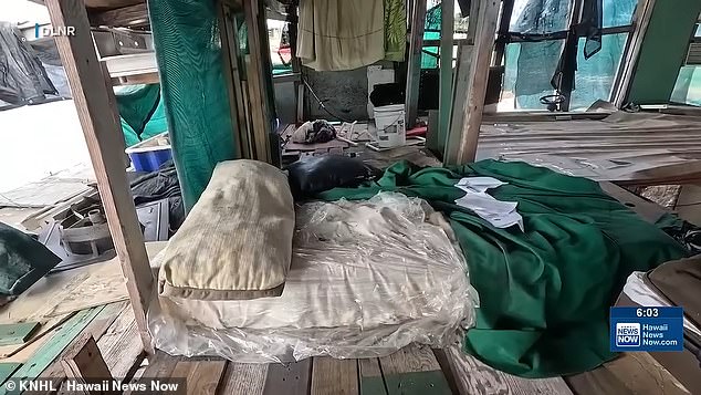 Hawaii officials race to clear massive homeless encampment in Kalihi before hurricane season.