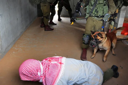Israel Departs Hundreds of Pro-Palestinian Activists Following Flotilla Aid Interception
