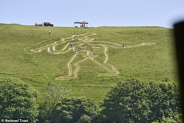 Cerine Abbas Giant restoration begins with 17 tonnes of fresh chalk.