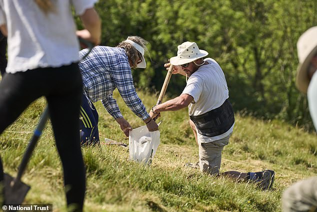 Cerine Abbas Giant restoration begins with 17 tonnes of fresh chalk.