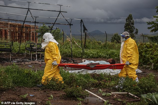 High Court halts Kenya plan for US Ebola field hospital