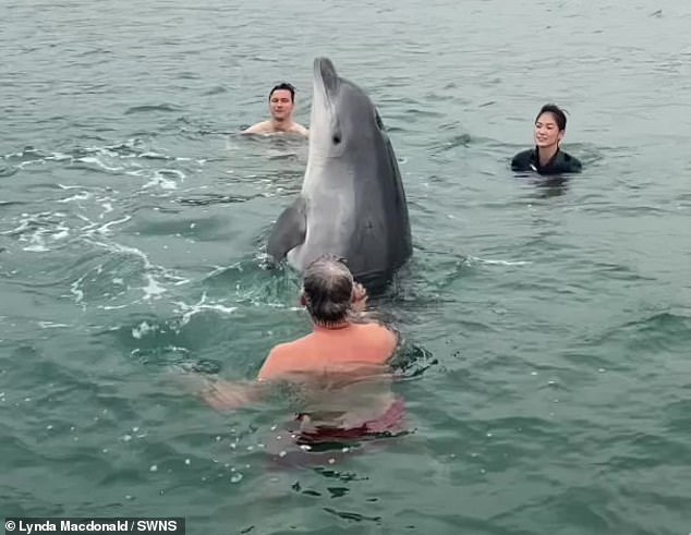 Isolated dolphin seeks human company but experts warn crowds create danger.