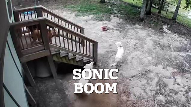 USGS Identifies Cause of Massive Sonic Boom That Shook East Coast Homes