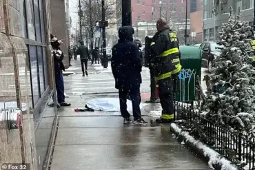 Chicago Warns of Dog Dangers During Winter