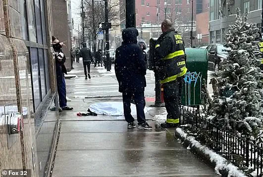 Chicago Warns of Dog Dangers During Winter
