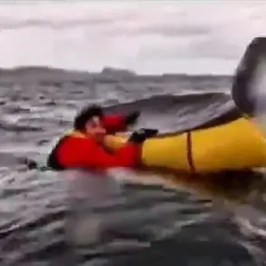 Chilling Video Shows kayaker Being Pulled Into a Humpback Whale's Mouth Before Being Spat Out Unharmed