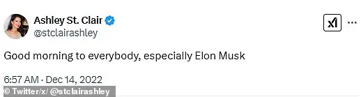 Elon Musk's Late-Breaking Announcement: A 13th Child on the Way