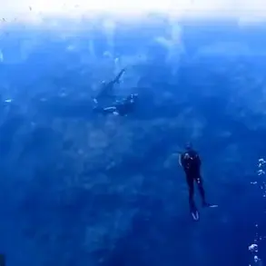 Frightening Shark Attack Caught on Camera: Man's Struggle for Survival