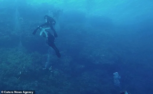 Frightening Shark Attack Caught on Camera: Man's Struggle for Survival