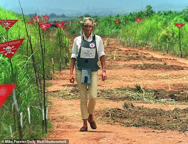 Prince Harry Opens Up About Fatherhood and His Plan for a Small Family