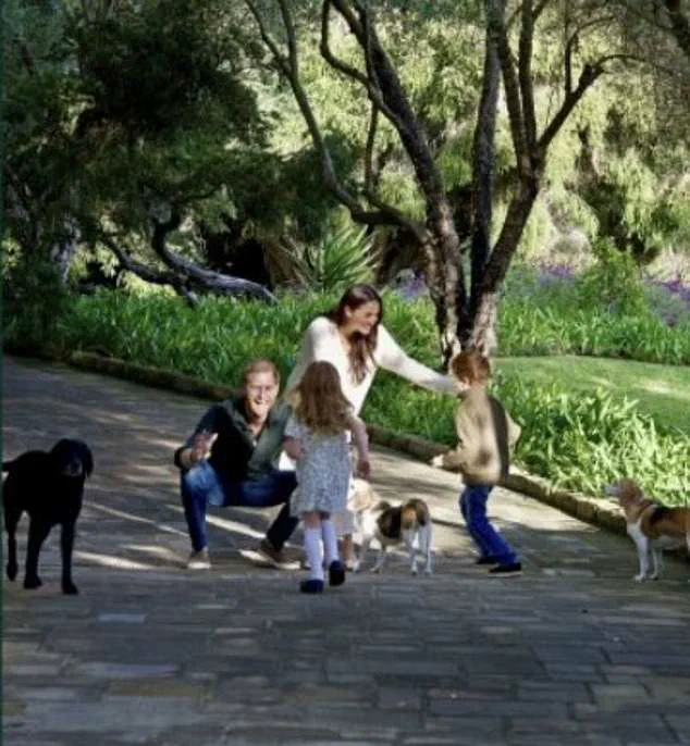 Prince Harry Opens Up About Fatherhood and His Plan for a Small Family