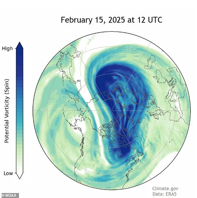 The Coldest January in Nearly Three Decades: Unraveling the Polar Vortex Phenomenon